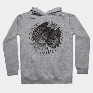 Hawk Hoodie